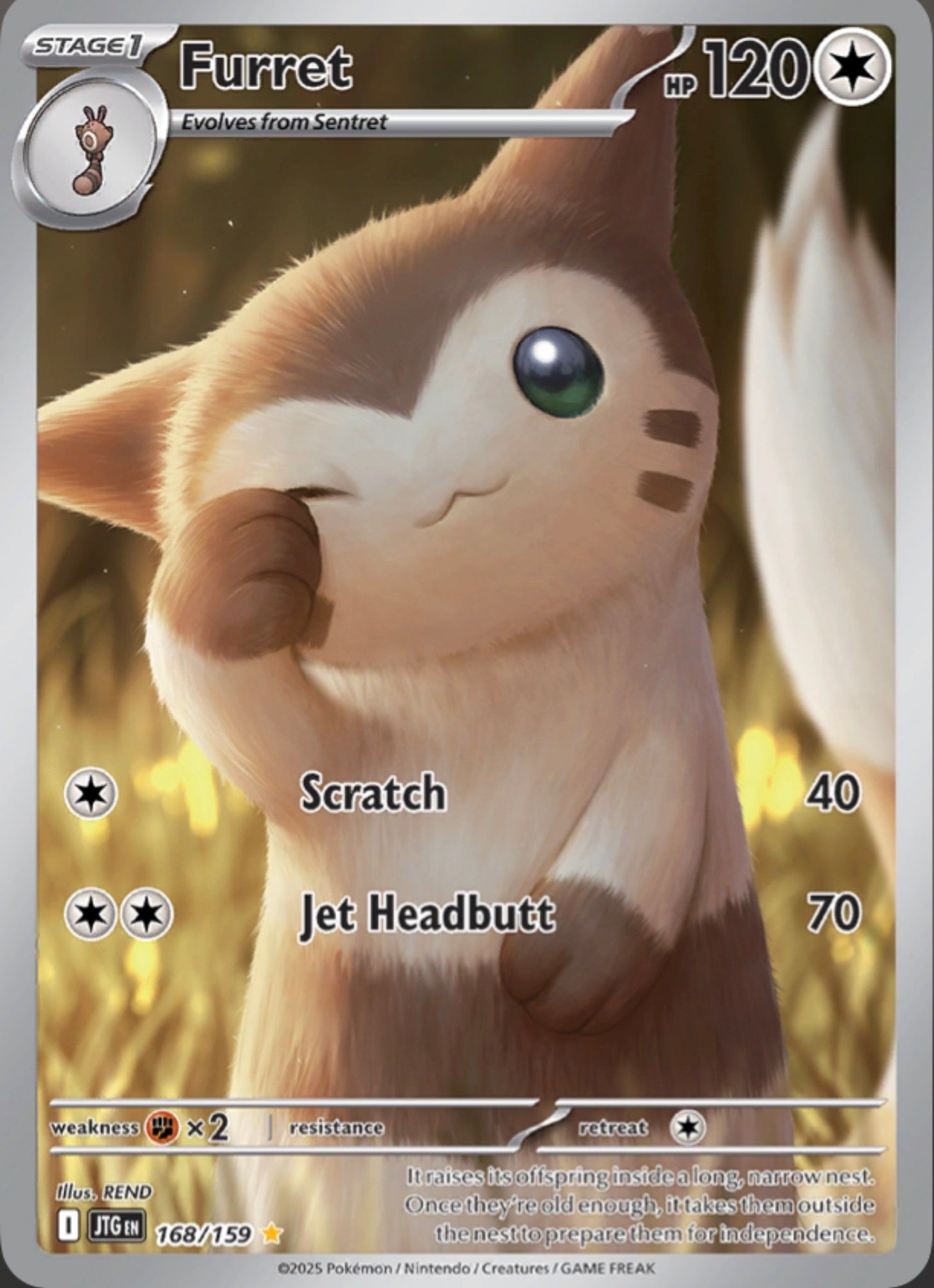Pokémon Singles - Furret - JTG 168/159