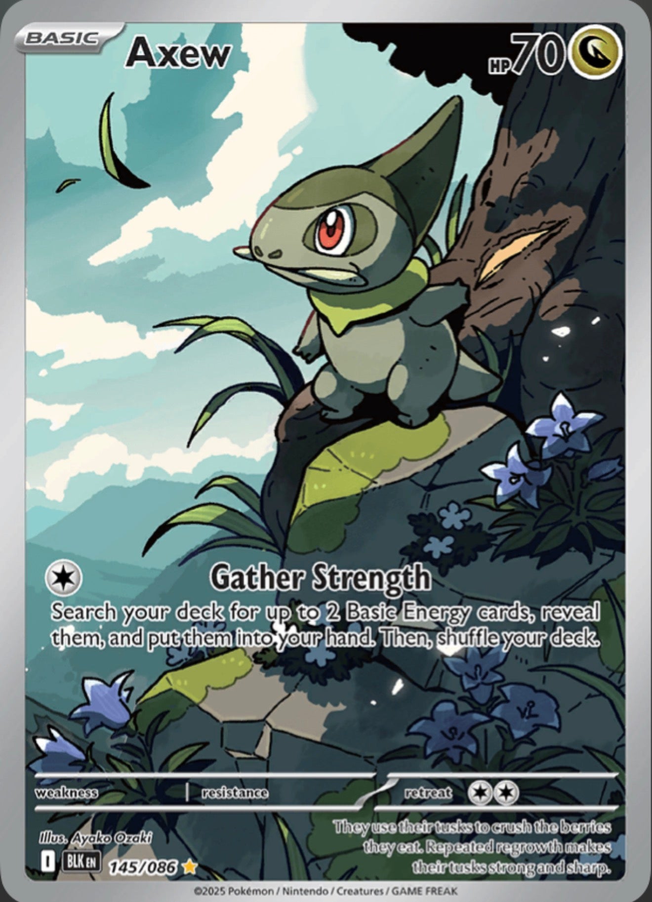 Pokémon Singles - Axew - BLK 145/86